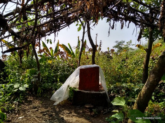 Ghotawada Fort (Gotara)